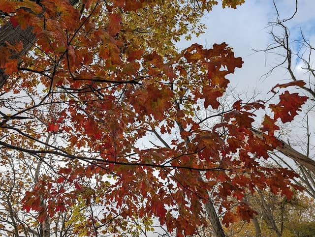 Towpath - Image 1