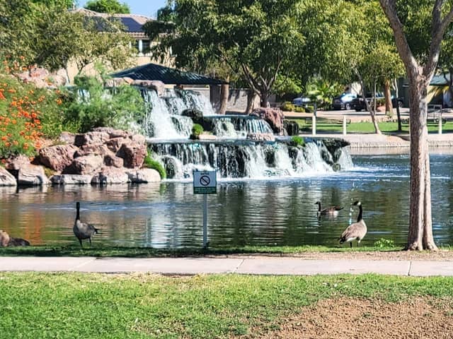 Rio Paseo Park - Image 2