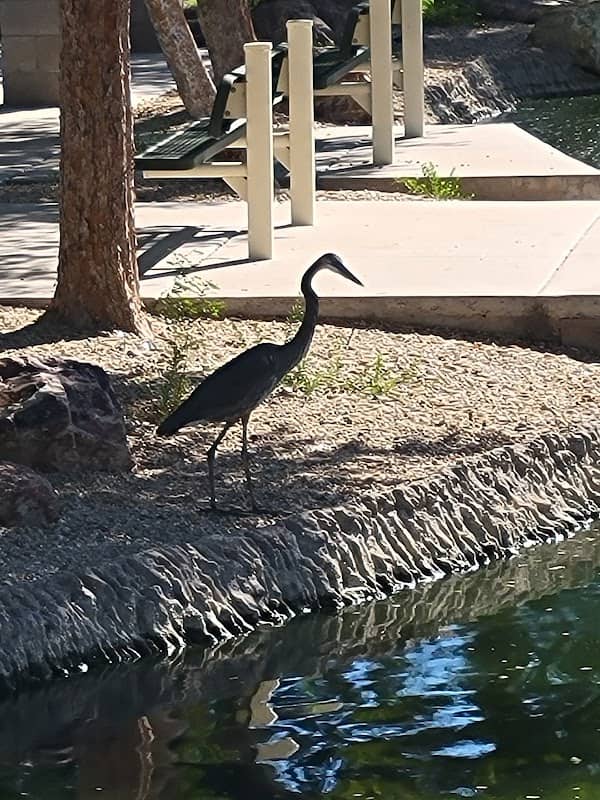 Rio Paseo Park - Image 1