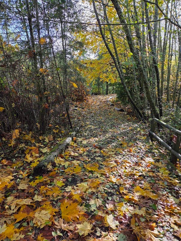 Otto Jarstad Park - Image 1