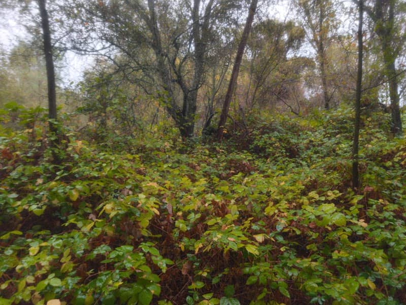 Indian Lakes Park - Image 2