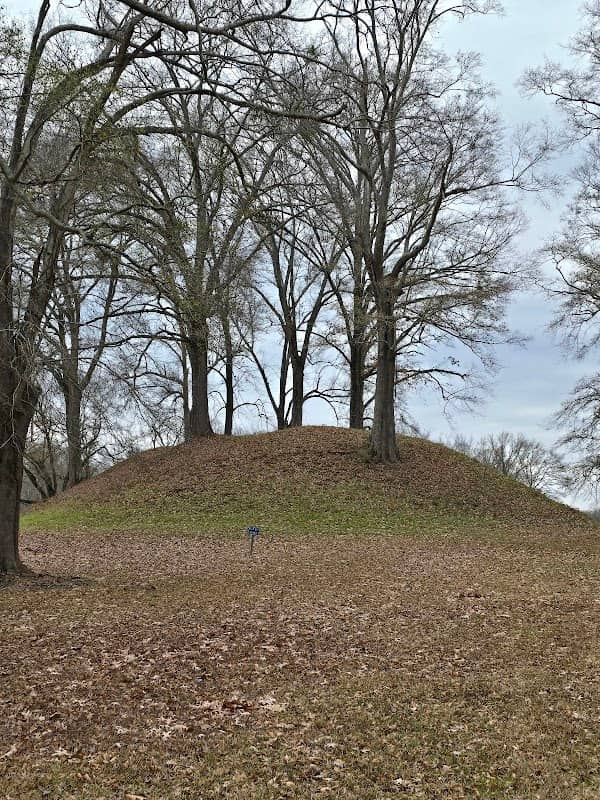 Pocahontas Mounds Roadside Park - Image 1