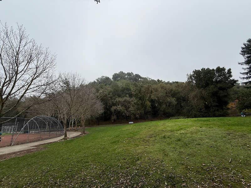 Tice Valley Park - Image 2