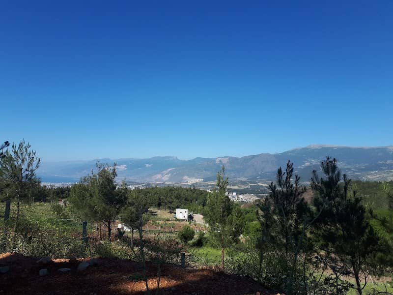 Nergizlik Koyu Muhtarligi - Image 1