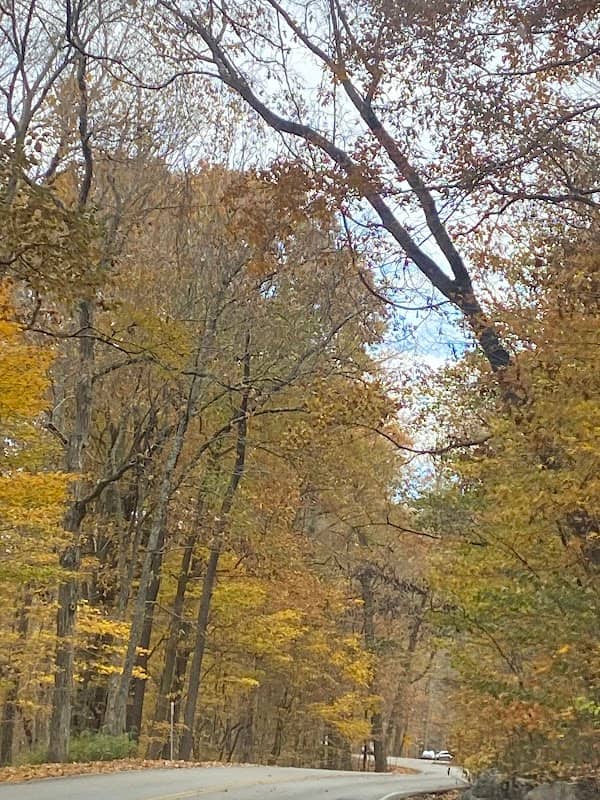 Cold Springs Park - Image 2