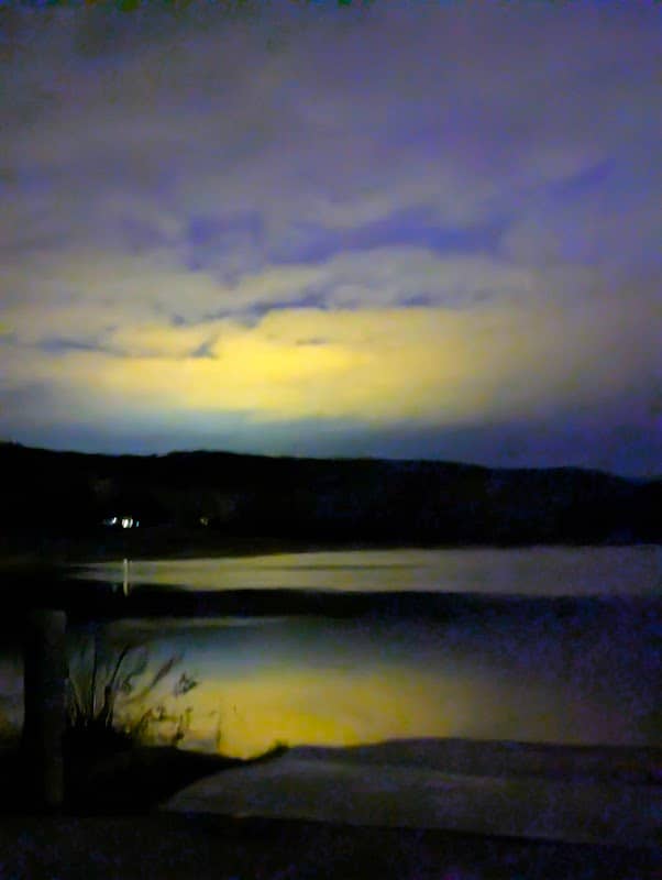 Turtle Pond - Image 2