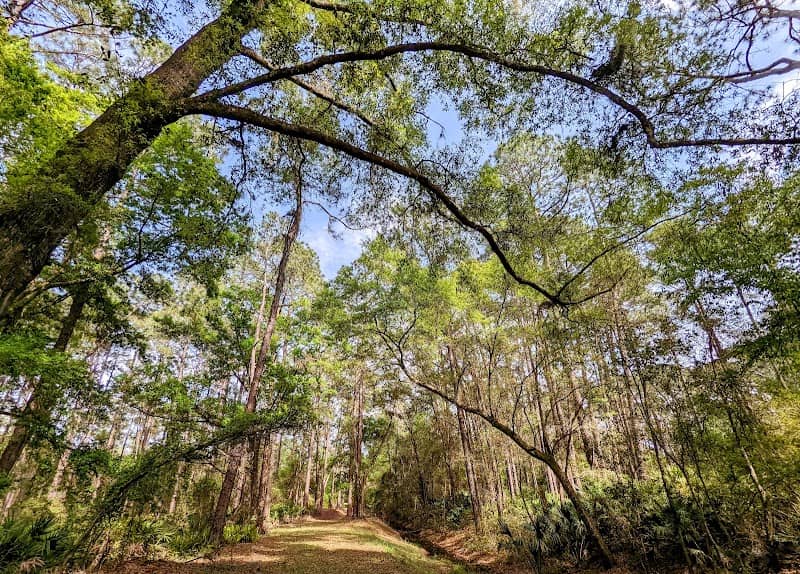 Flatwoods Conservation Area - Image 2