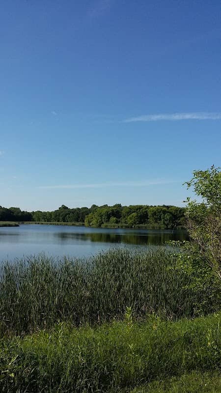 Osakis Wildlife Management Area: North Unit - Image 1