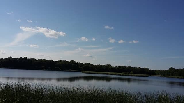 Osakis Wildlife Management Area: North Unit - Image 2