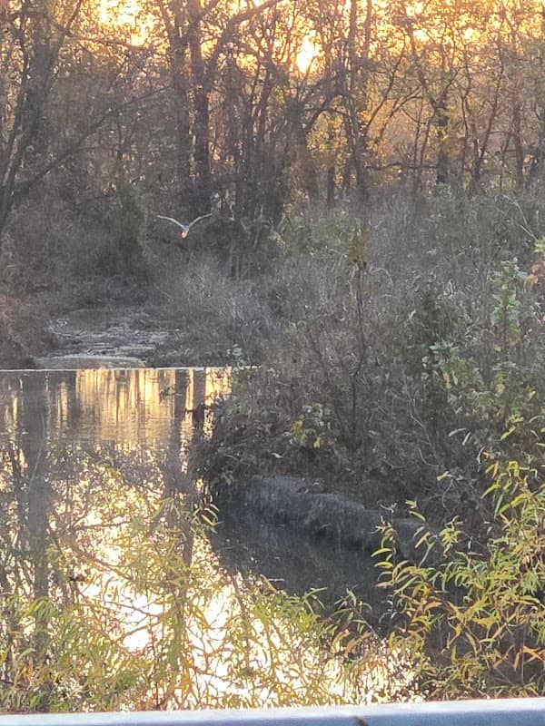 Katy Park - Image 1