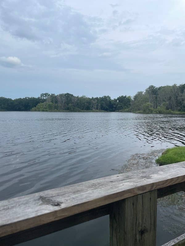 Lake Alice Conservation Area - Image 1