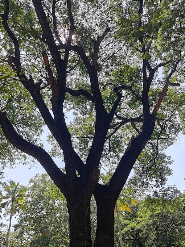 Puthayiram Poonga - Image 2