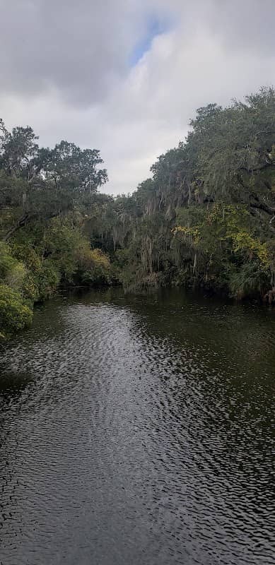 Amelia Island Nature Center - Image 2