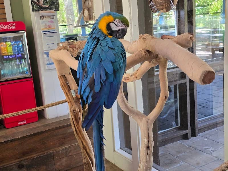 Amelia Island Nature Center - Image 1
