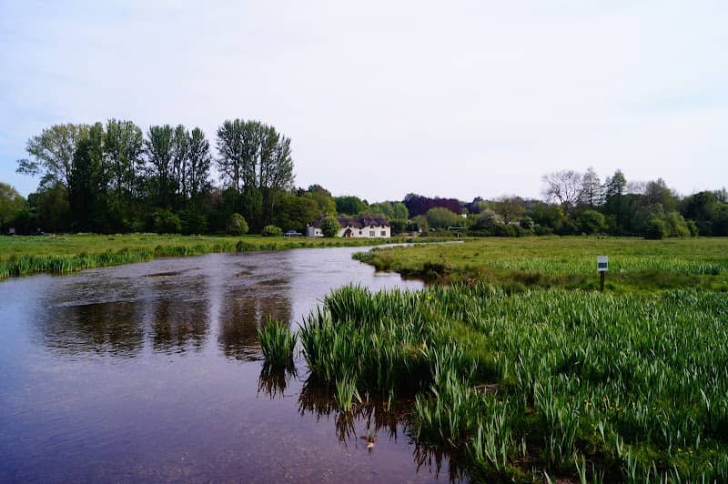 Chilbolton Cow Common SSSI - Image 1