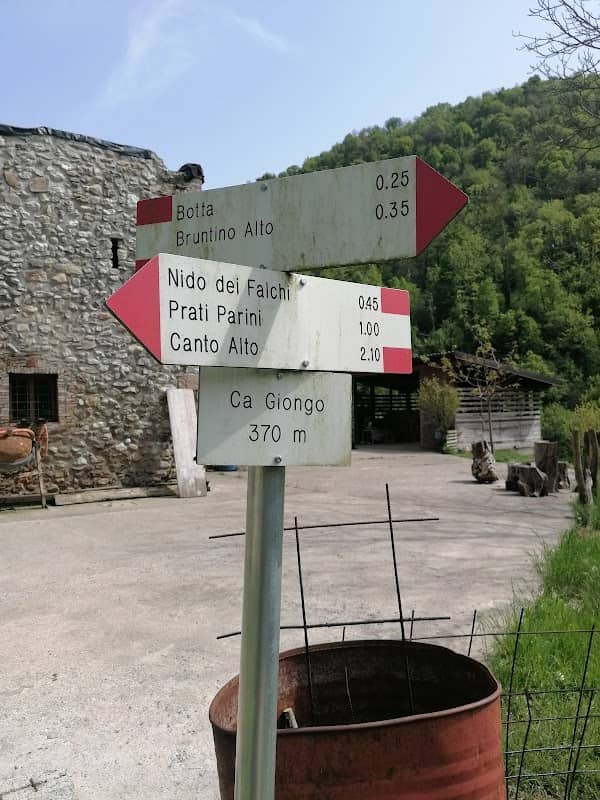 Torrente Giongo - Image 1