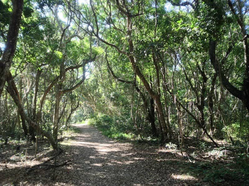 Brunswick Heads Nature Reserve - Image 1
