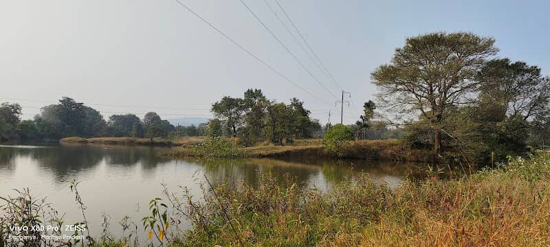 Old Dam (पुराना तालाब) - Image 2