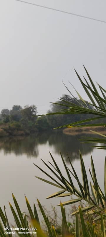 Old Dam (पुराना तालाब) - Image 1