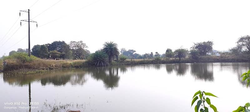 Old Dam (पुराना तालाब) - Image 3