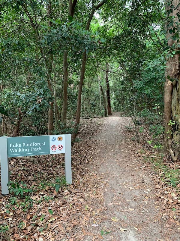 Iluka Rainforest walking track - Image 2