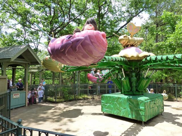 Wings of Wonder - Image 1