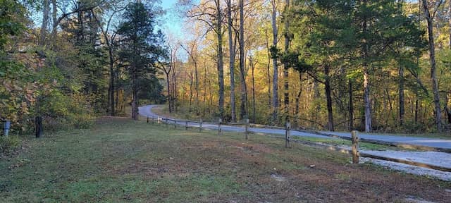 Tulip Poplar Shelter - Image 1