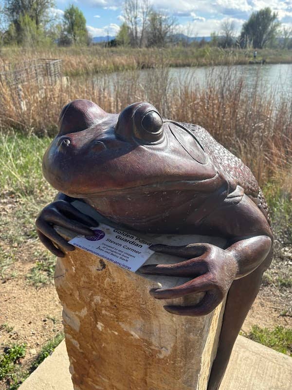 Golden Ponds Guardian Frog Statue - Image 1
