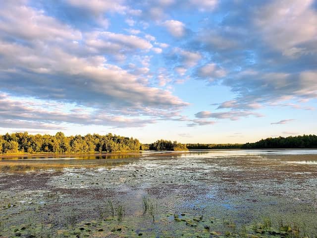 Lake Alice Wildlife Management Area - Image 1
