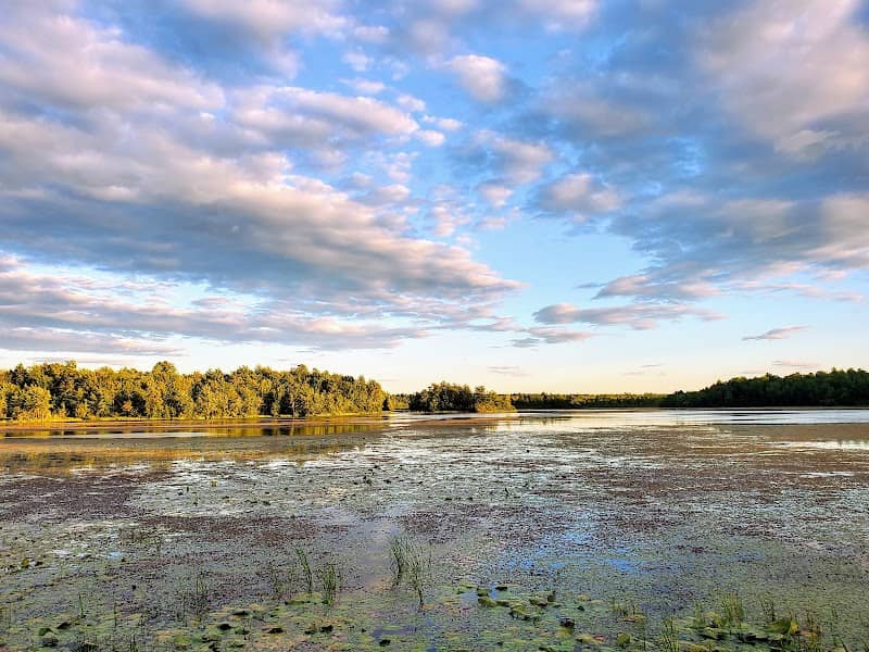 Lake Alice Wildlife Management Area - Image 1