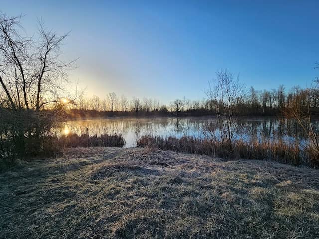 Lake Alice Wildlife Management Area - Image 2