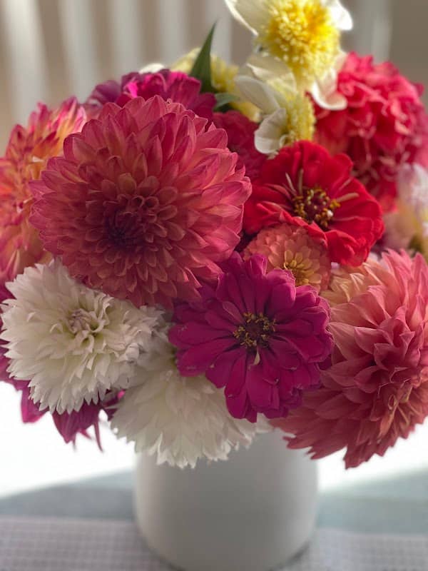 KD’s Diggin Up Dahlias - Image 3