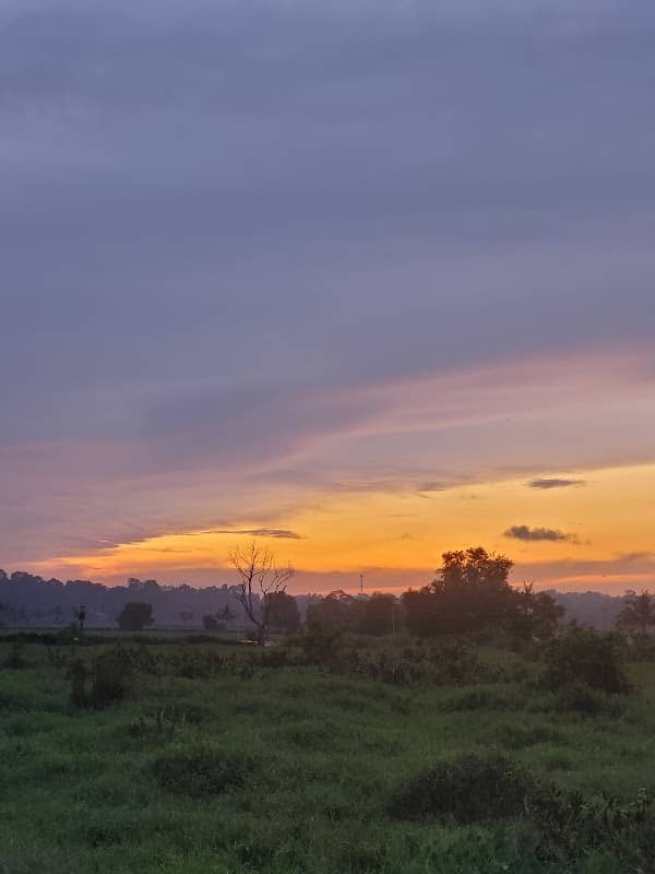 Sunrise View Point, Changanassery Bypass - Image 1