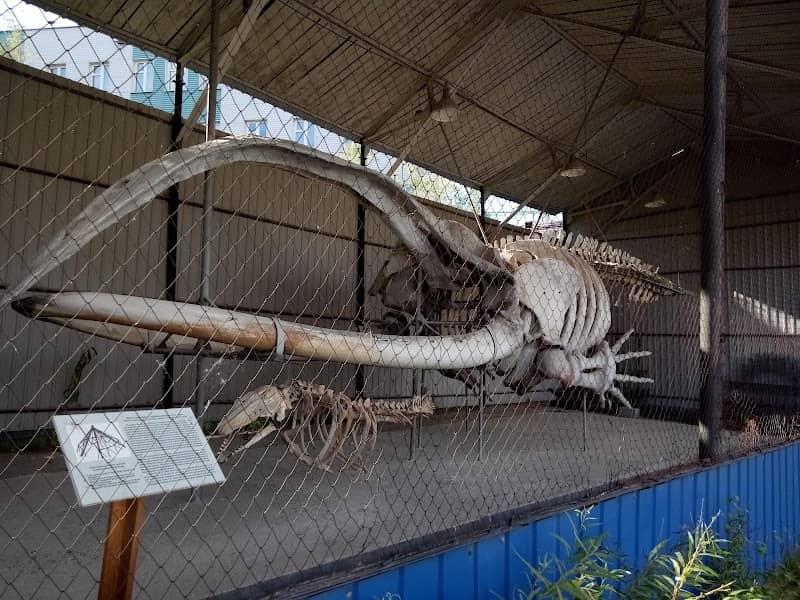 Yakutsk Regional History Museum - Image 1