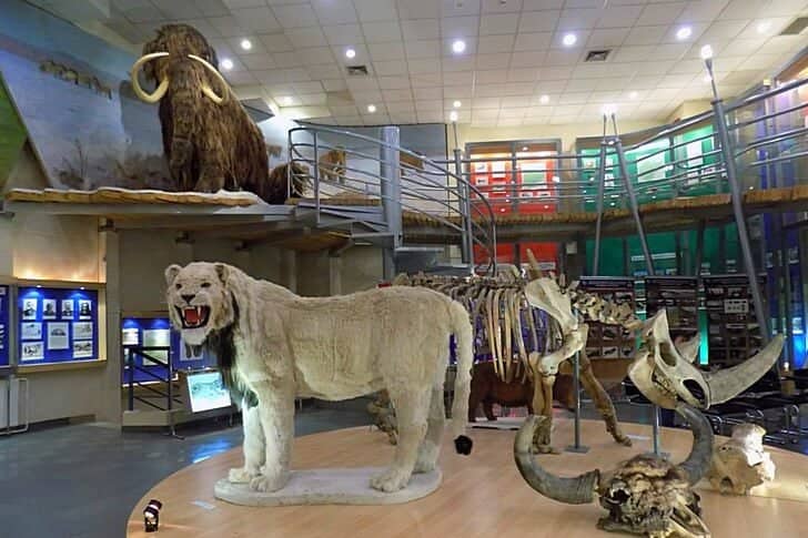 Yakutsk Regional History Museum - Image 2