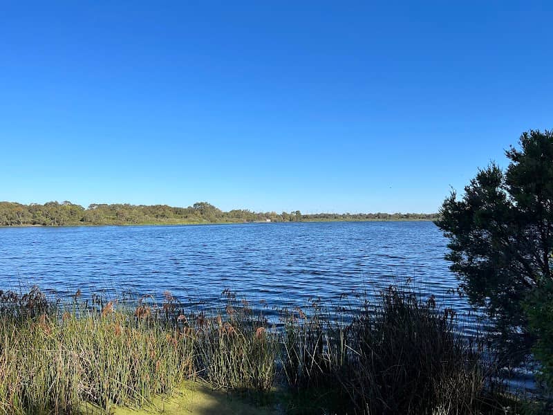 Bibra Lake Reserve - Image 2