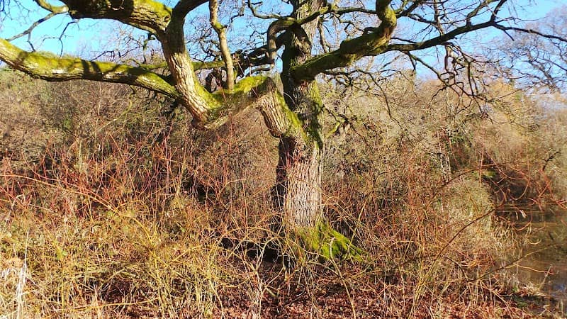 Popley Ponds - Image 1