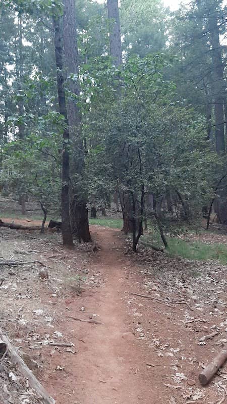 Green Belt - Image 1
