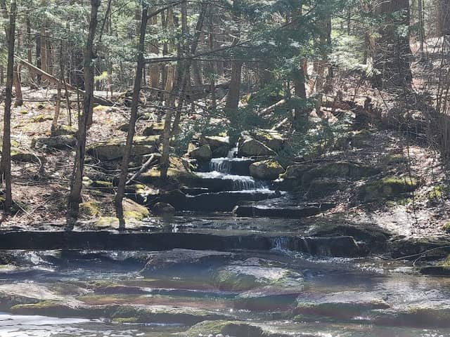 Vaughan Brook - Image 2