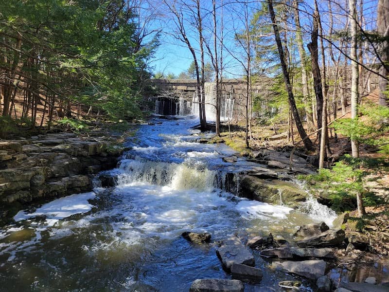 Vaughan Brook - Image 1