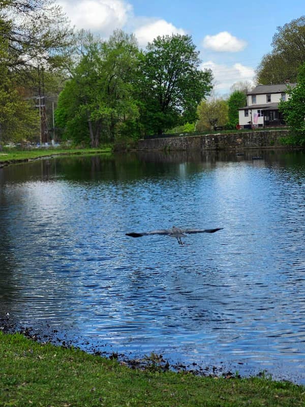 Memorial Boulevard Park - Image 1