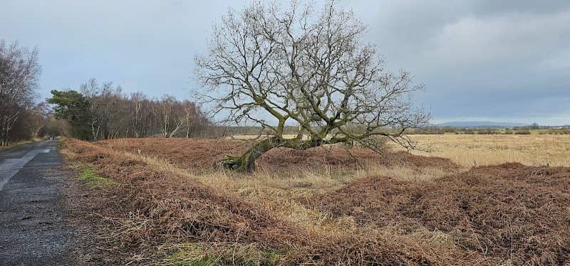 Linwood circular trail - Image 1