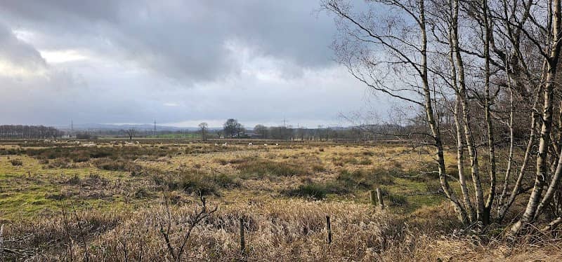 Linwood circular trail - Image 2