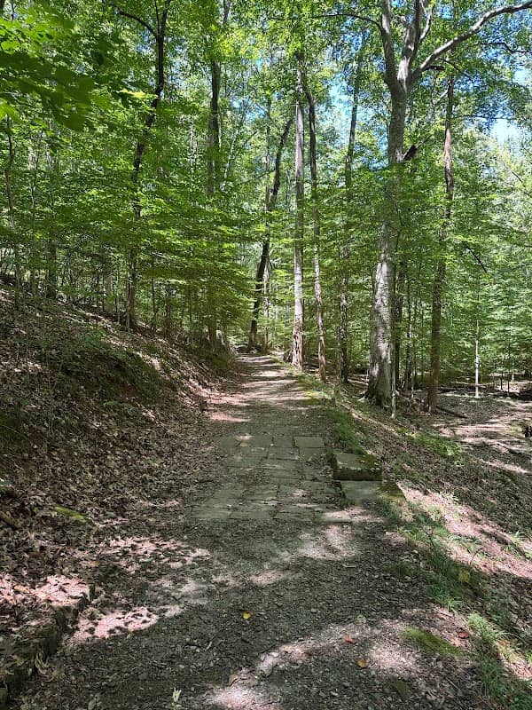 Little Mulberry Park Observation Plateau - Image 1