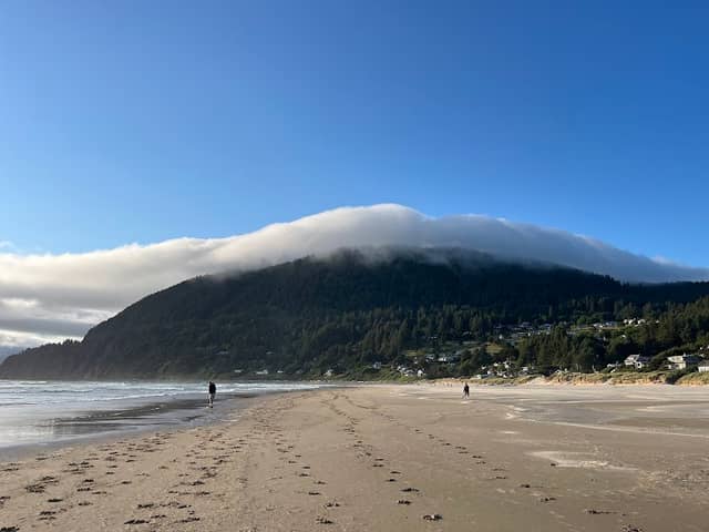 Neakahnie-Manzanita State Park - Image 3
