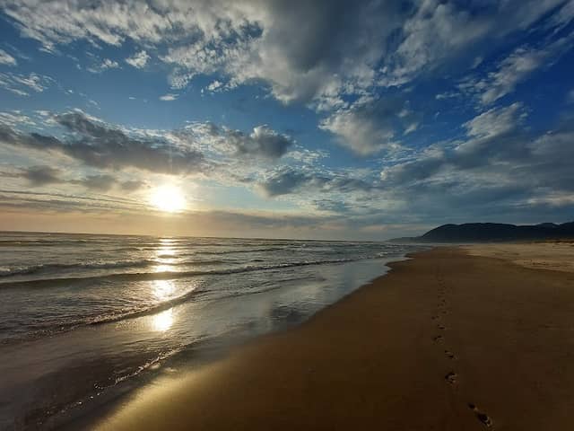 Neakahnie-Manzanita State Park - Image 1