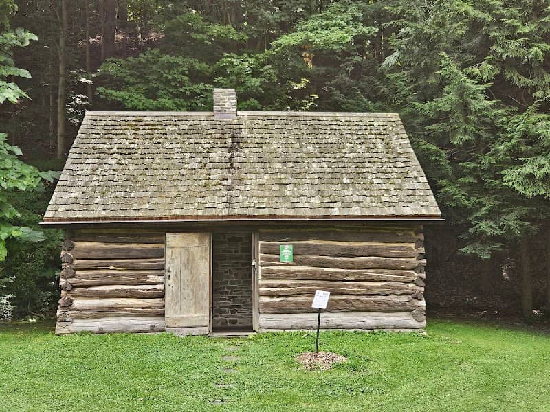Millard Fillmore Birthplace Cabin (replica) - Image 1