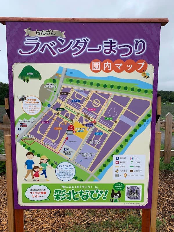 Sennen no Sono Lavender Field - Image 1