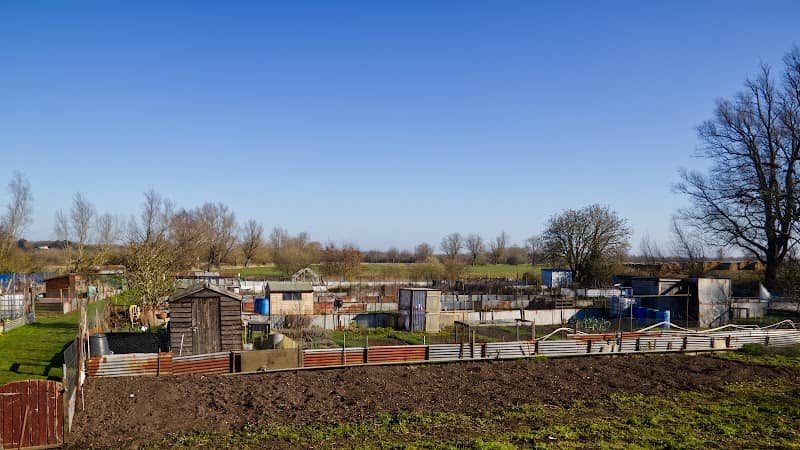 Beccles Marshes - Image 2