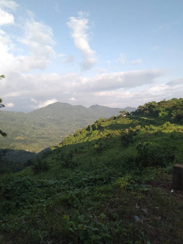 Areekamala view point - Image 1